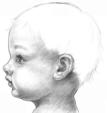 Дата рождения Михаила Васильевича Ломоносова