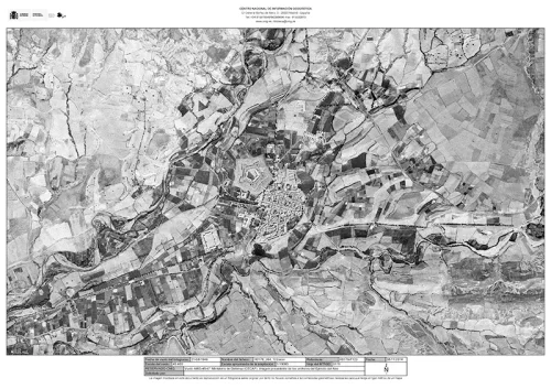 VUELO FOTOGRAMÉTRICO