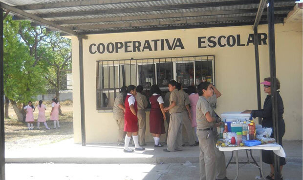 Cooperativas Escolares