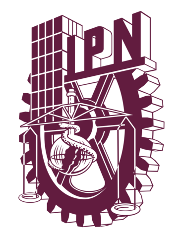 La reestructuración del IPN