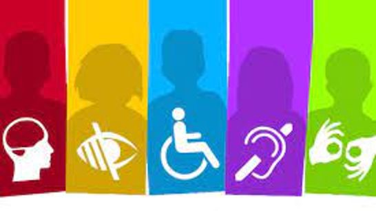 Mecanismos de Integración Social de las Personas en Situación de Discapacidad