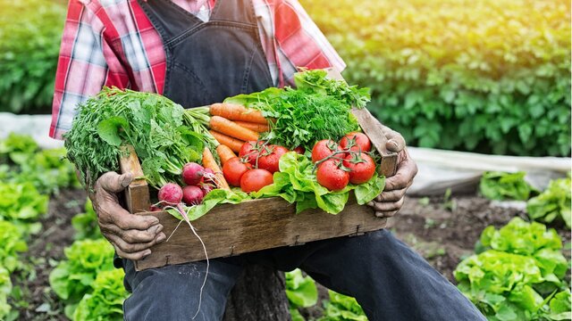 aparición de la agricultura