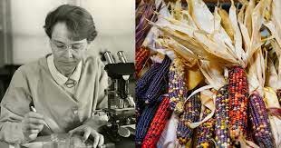 Descubrimiento "genes saltarines"