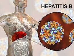 Descubrimiento del virus Hepatitis B