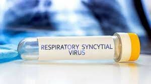 Creación de la vacuna contra virus respiratorio sincicial