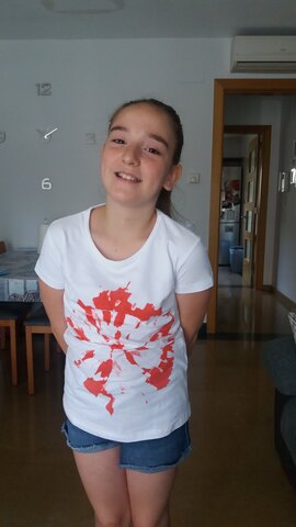 festival fi de curs (2018)