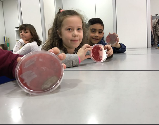 Mirant les mostres amb l'Irene🦠🦠