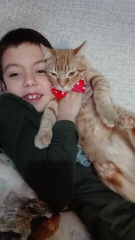 vaig anar a adoptar 2 gats 🐈