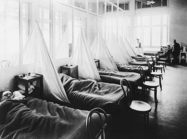 The Spanish Flu