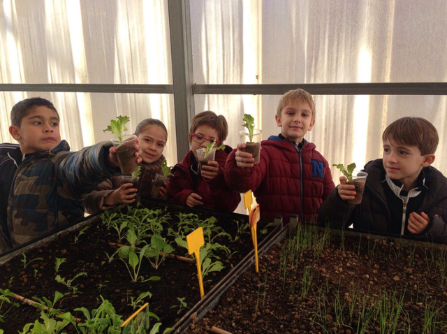 TALLER DE L'HORT A SEGON