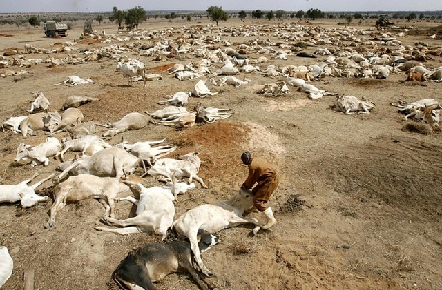 Severe Kenya Drought