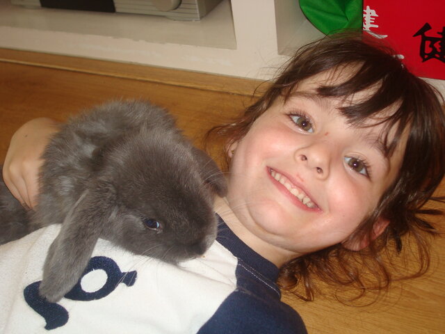 Arriba el meu conill Mickey a casa