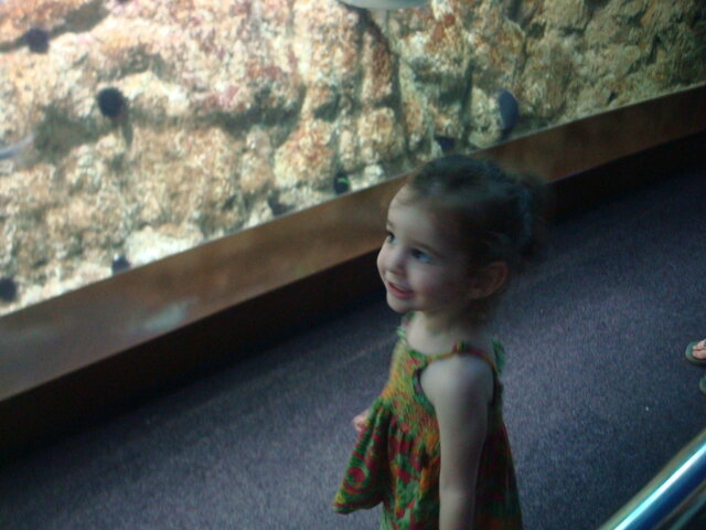 Primera visita al Aquari de Barcelona