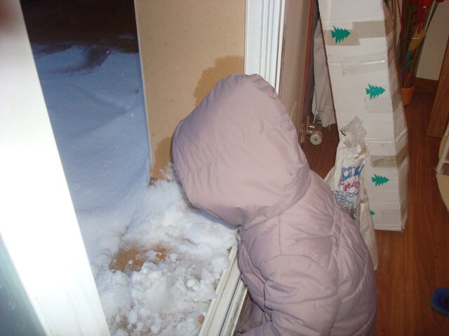 Vaig veure la neu per primera vegada