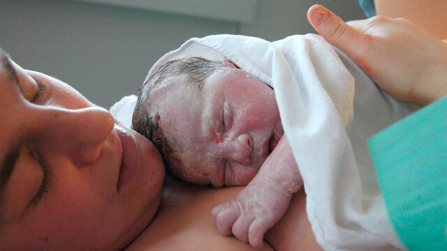 Creación del Proyecto de Apoyo a la Lactancia Materna (PROALMA)