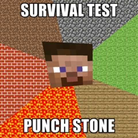 Survival Test  released
