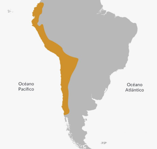 conquistó el Imperio inca.