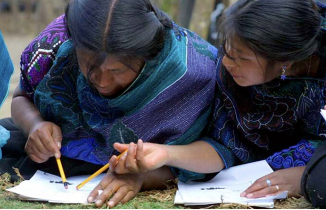 Disminución del analfabetismo y modesto avance en cobertura educativa