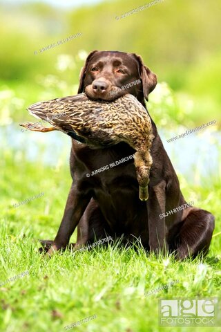 went my first skiing trip