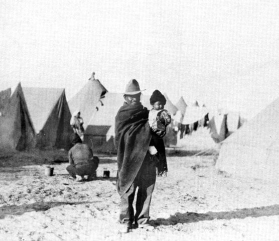 The Mexican Revolution