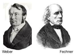 Weber y Fechner (1801-1882)