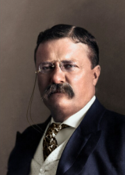 Theodore Roosevelt