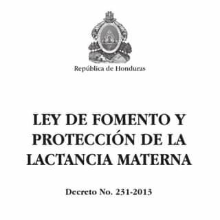 Ley de Fomento y Protección de la lactancia materna
