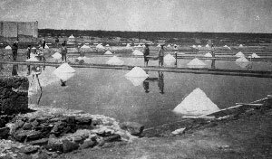 Ciudad lacustre y comercio de sal