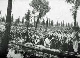 De origen chinampero