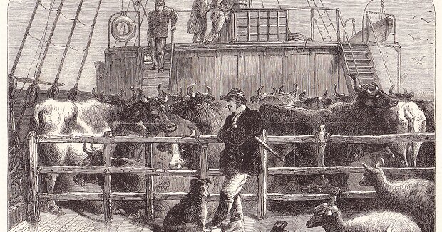 L'arretratezza dell'Italia