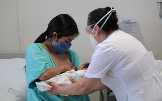 Proyecto de Apoyo a la Lactancia Materna (PROALMA)