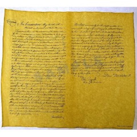 Virginia's Resolution