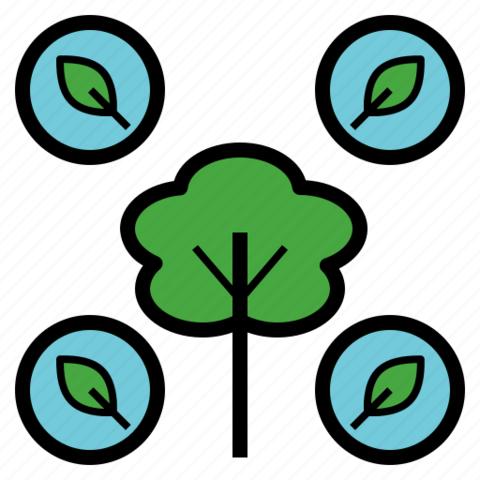 La semana de la creación