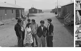 Japanese put in internment camps in the U.S.