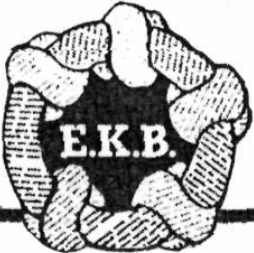 Ekimena: EKBk bultzatuta Langileen Euskara Komiteak