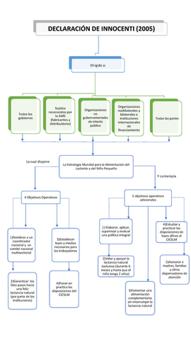 Declaración de INNOCENTI del 2005 Florencia, Italia