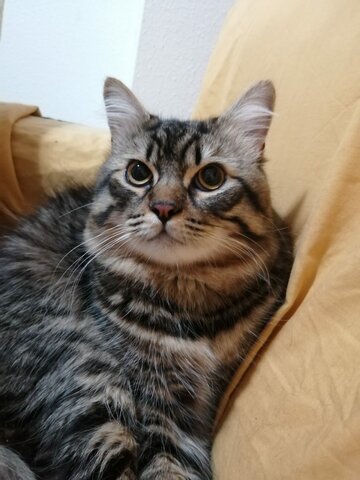 Fiesta de cumpleaños