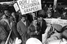 The Mexican Americans and Filipinos joined in a strike in Delano against grape farms