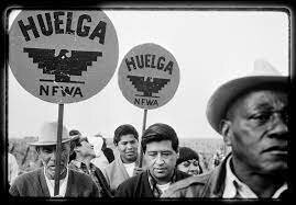 The strikers march 250 miles from Delano to Sacramento