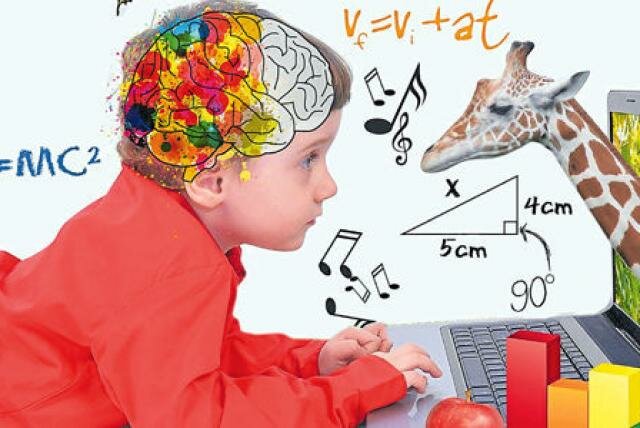 NEUROEDUCACION