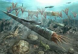 Extincion Ordovicico/silurico