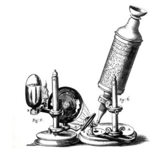 El Microscopio Compuesto