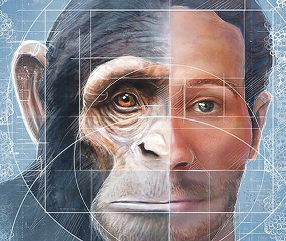 Primeras quimeras mono-humano