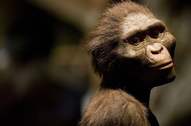 Periodo Cuaternario (1.8 m.a hasta hoy)