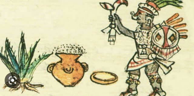 Fermentación