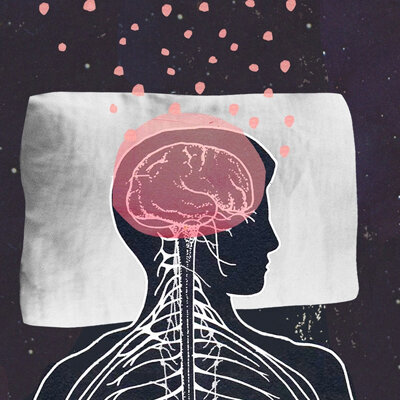 Timeline: Etapas del sueño