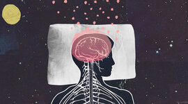 Timeline: Etapas del sueño