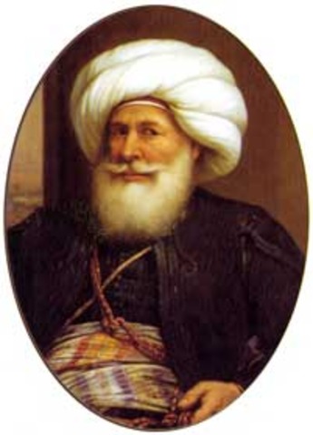 The Rise of Muhammed Ali