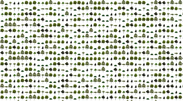 DEFOOOOOOOOOOOREST (Joana Moll)