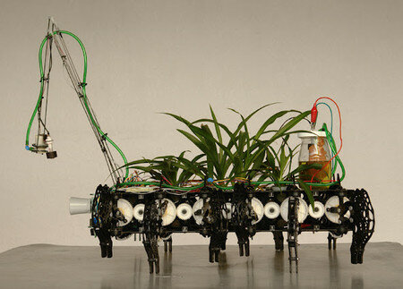 Nomadic Plants (Gilberto Esparza)